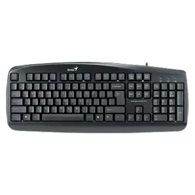 Teclado Genius KB-110 Usb Negro
